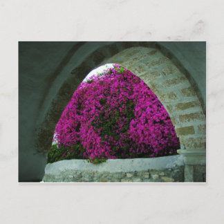 Purple flowers through an arch. postcard