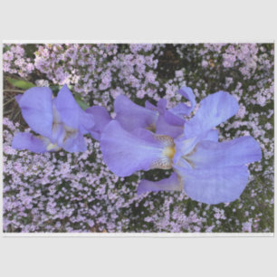 Purple flowers tissue paper