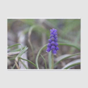 Purple Flowers Tissue Paper