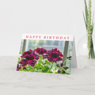 Purple flowers up close birthday card