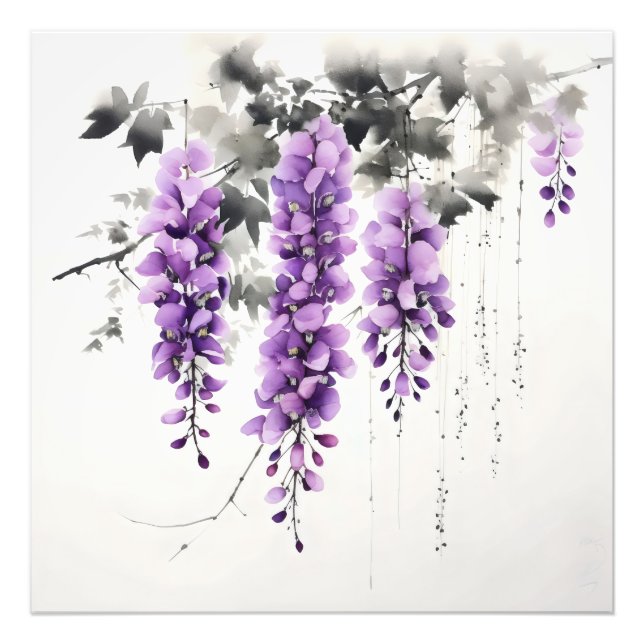 Purple Flowers Wisteria Tree Photo Print (Front)