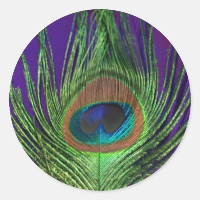 Purple Foil Single Peacock Classic Round Sticker (Front)