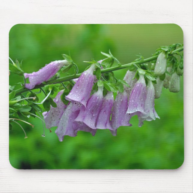 Purple foxglove flowers mouse mat (Front)