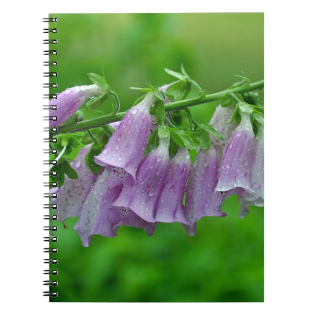 Purple foxglove flowers notebook (Front)