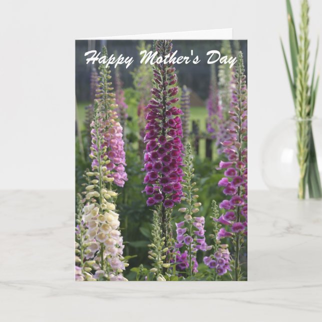 Purple foxgloves ...  card (Front)