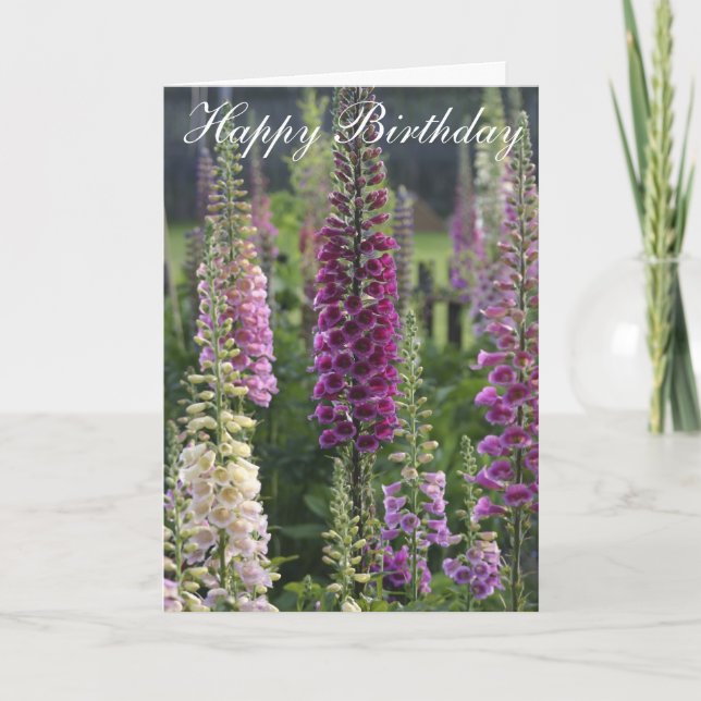 Purple foxgloves ...  card (Front)