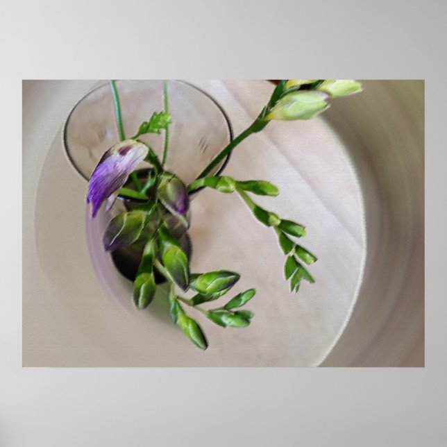 purple freesia buds poster (Front)