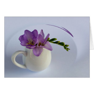 purple freesia flower