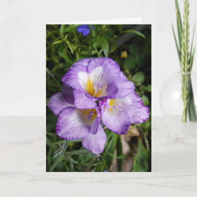 Purple Freesia Flowers Card (Front)