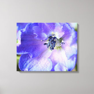 Purple Frills Canvas Print