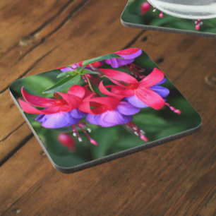 Purple Fuchsia with Pink Sepals Floral Coaster