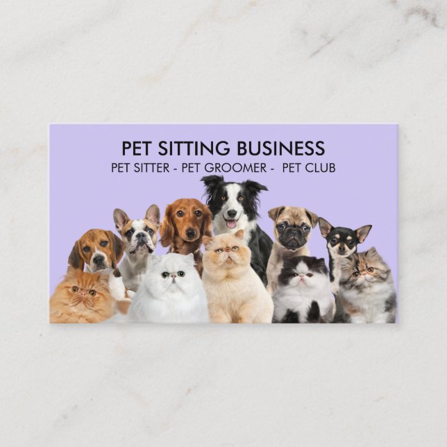 Purple Funny Pet Dogs Cats Business Card (Front)
