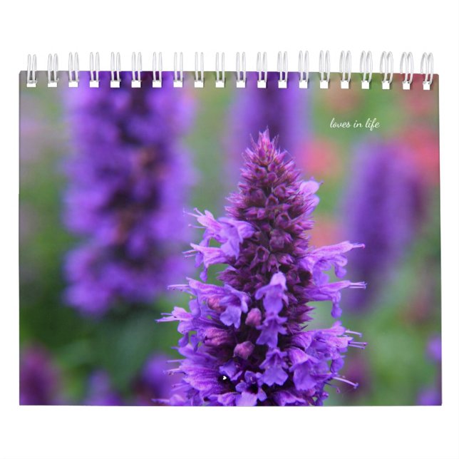 Purple Garden Flowers Calendar (Cover)