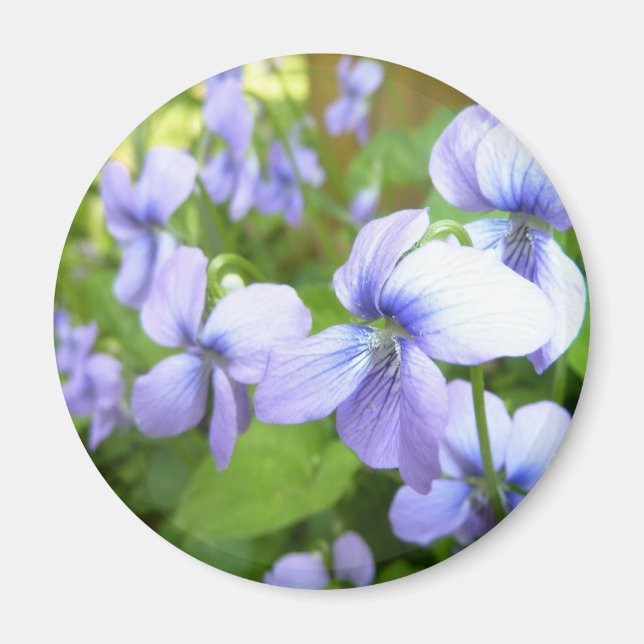 Purple Garden Flowers Magnet (Front)