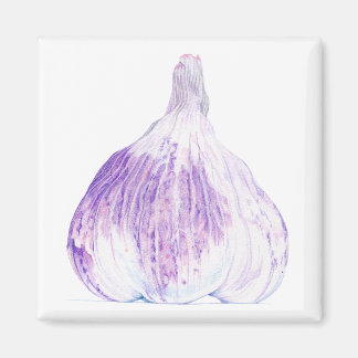 Purple Garlic Magnet