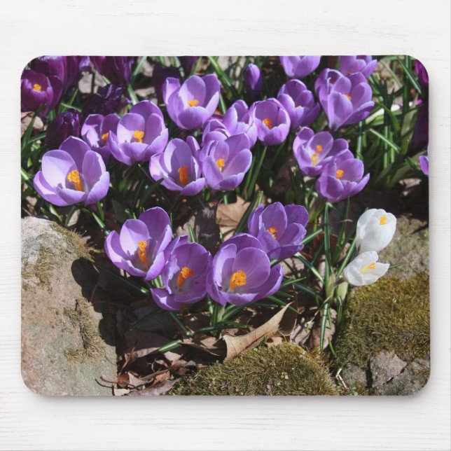 Purple Gems Mouse Mat (Front)