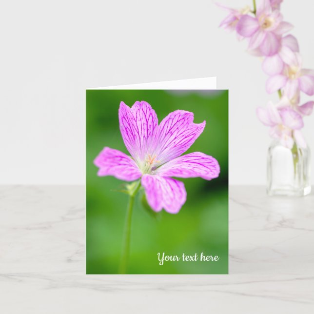 Purple Geranium Greeting Card (Orchid)