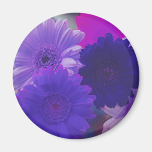 Purple Gerbera Daisy Flower Refrigerator Magnet