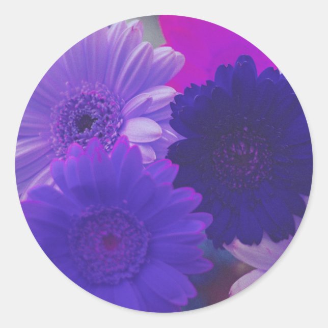 Purple Gerbera Daisy Flowers Art Decal Stickers (Front)