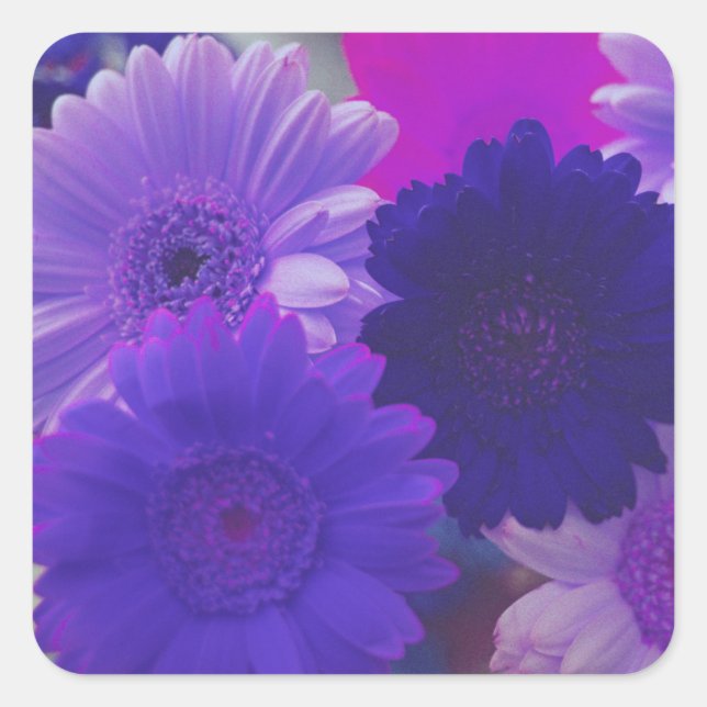Purple Gerbera Daisy Flowers Art Sticker Decals (Front)