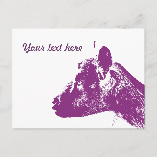 Purple Goat Postcard (Front)