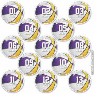 purple gold basketball team colours 13 athletes