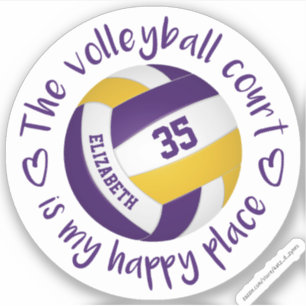 purple gold volleyball court my happy place