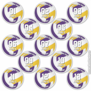 purple gold volleyball team stickers 13 athletes
