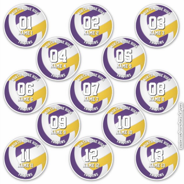 purple gold volleyball team stickers 13 athletes (Front)