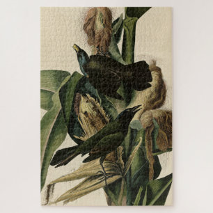 Purple Grakle (Grackle) Audubon's Birds of America Jigsaw Puzzle