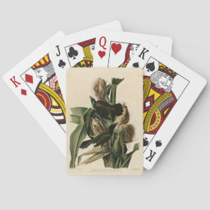 Purple Grakle (Grackle) Audubon's Birds of America Playing Cards