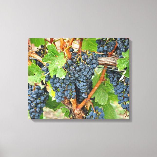 Purple grapes canvas print (Front)