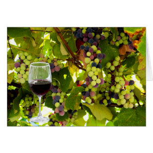 Purple Grapes Growing on the Vine with Wineglass