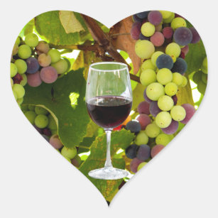 Purple Grapes Growing on the Vine with Wineglass Heart Sticker