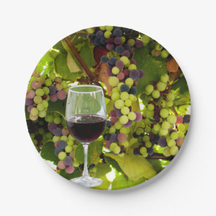 Purple Grapes Growing on the Vine with Wineglass Paper Plate