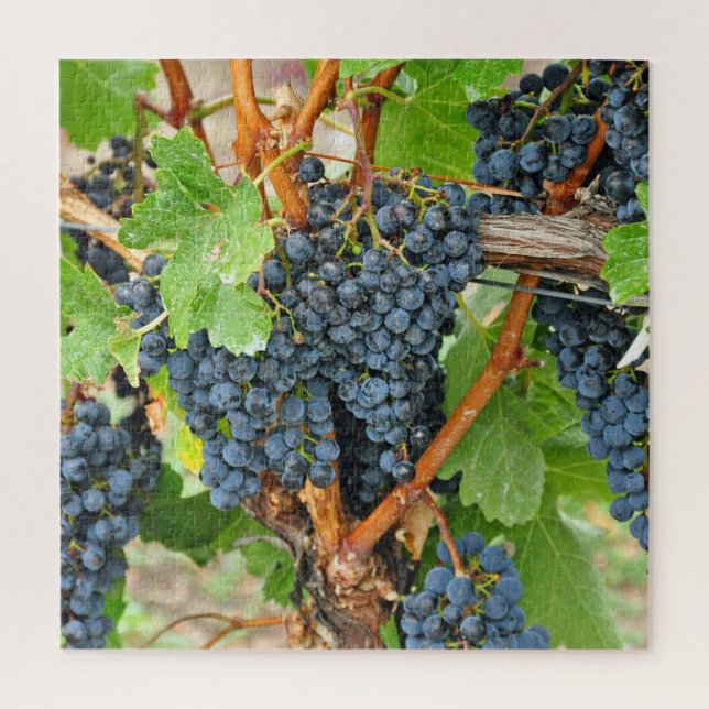 Purple grapes jigsaw puzzle (Vertical)