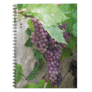 Purple Grapes on the Vine Notebook