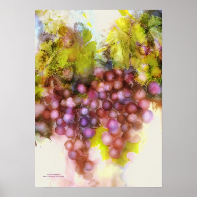 purple grapes, watercolor painting poster (Front)