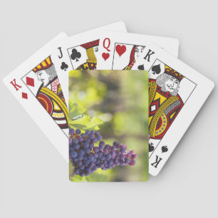 Purple grapevine playing cards