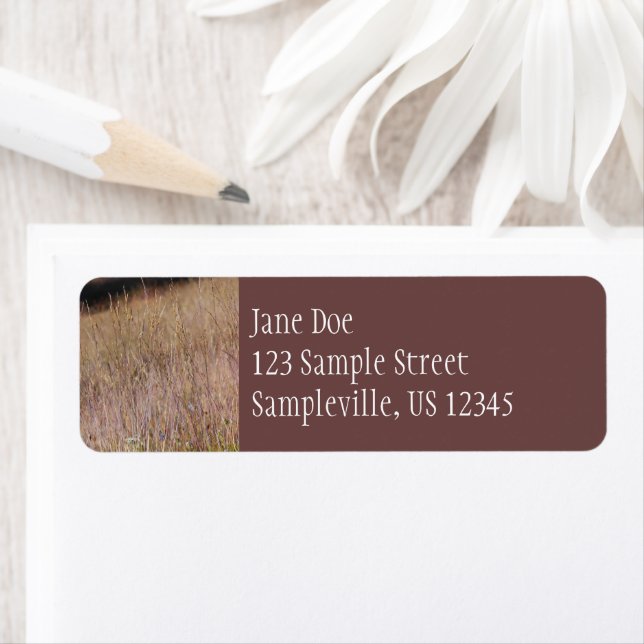 Purple Grass and Wildflowers (Insitu)