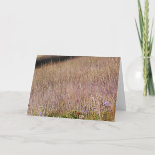 Purple Grass and Wildflowers Card