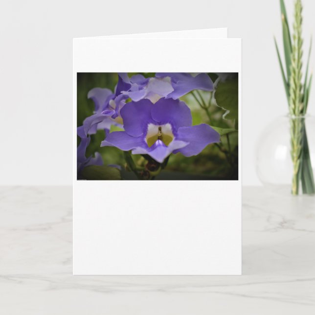 Purple & Green, card (Front)