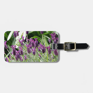 Purple & green Lavender flowers in bloom Luggage Tag