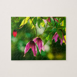 Purple green lush plants flowers greenery jigsaw puzzle