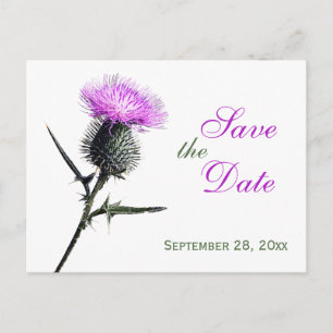 Purple Green White Thistle Save the Date Postcard