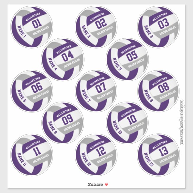 purple grey volleyball team colours players names (Sheet)