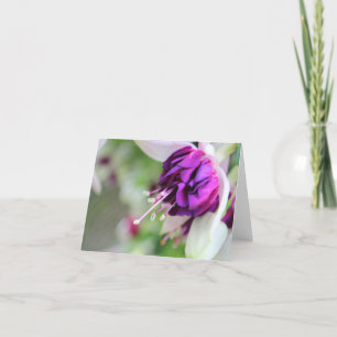 Purple Hardly Fuchsia Holiday Card