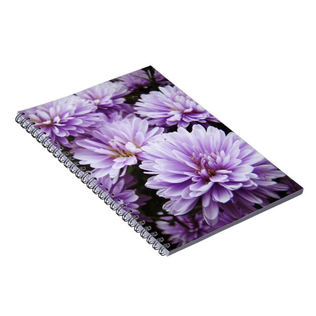 Purple Haze Chrysanthemums Notebook (Right Side)