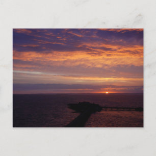 Purple Haze Postcard