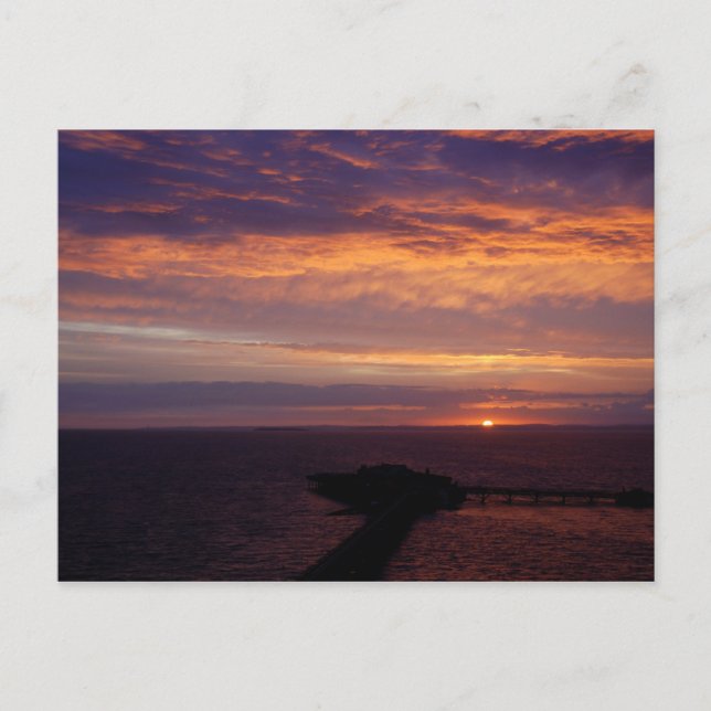 Purple Haze Postcard (Front)